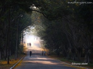 Road to Sjce, Mysore