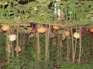 Phala Pushpa Pradarshana